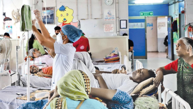 સમગ્ર ગુજરાતમાં અત્યારે સાર્વત્રિક વરસાદ વરસી રહ્યો છે. ભારે વરસાદના કારણે કેટલાક જિલ્લાઓમાં પુરની સ્થિતિ સર્જાઇ છે. ઠેર ઠેર જળબંબાકાર થતાં કેટલાય વિસ્તારોમાં લોકોને ઘરમા જ રહેવા મજબૂર બનવુ પડ્યુ છે.