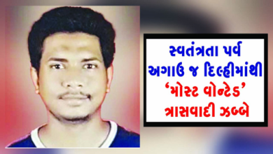ત્રણ લાખનુ ઈનામ ધરાવતો આઈએસનો ત્રાસવાદી ‘સૌથી ખતરનાક’ની શ્રેણીમાં હતો: આઝાદી પર્વમાં ગરબડ સર્જવા ષડયંત્ર રચાયુ છે કે કેમ સહિતના મુદ્દે પુછપરછ