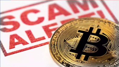 બિટકોઇન કૌભાંડ ના મુખ્ય આરોપી શૈલેષ ભટ્ટ ના ઇડી દ્વારા માંગવામાં આવ્યા રિમાન્ડ ,