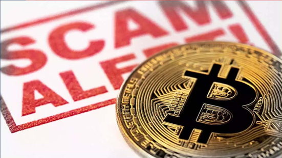 બિટકોઇન કૌભાંડ ના મુખ્ય આરોપી શૈલેષ ભટ્ટ ના ઇડી દ્વારા માંગવામાં આવ્યા રિમાન્ડ ,