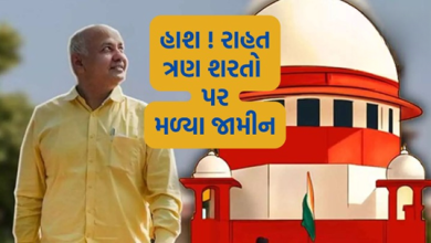 મનીષ સિસોદિયાએ એક્સાઈઝ પોલિસી કેસમાં 17 મહિના જેલમાં વિતાવ્યા બાદ જામીન ,