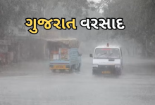 રાજ્યમાં છેલ્લા 24 કલાકમાં 183 તાલુકામાં વરસાદ નોંધાયો હતો. જેમાં સૌથી વધુ વરસાદ ભરૂચનાં વલિયામાં 12 ઈંચ નોંધાયો