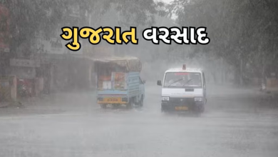 રાજ્યમાં છેલ્લા 24 કલાકમાં 183 તાલુકામાં વરસાદ નોંધાયો હતો. જેમાં સૌથી વધુ વરસાદ ભરૂચનાં વલિયામાં 12 ઈંચ નોંધાયો