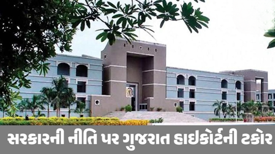 રાજ્યમાં યોગ્ય પ્લાનિંગ સાથે ‘વિકાસ’ થાય છે? શંકા દર્શાવતી હાઈકોર્ટ ,