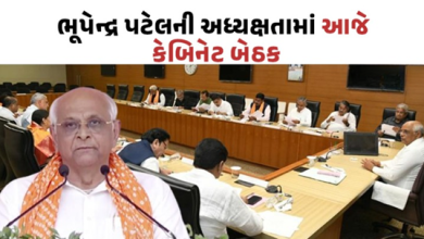 મુખ્યમંત્રી ભુપેન્દ્ર પટેલની અધ્યક્ષતામાં કેબિનેટ બેઠક યોજાશે. જેમાં રાજ્યમાં વરસાદની સ્થિતિ, પાકની નુકસાની સહિત કેટલાક મુદ્દાઓ પર ચર્ચા કરવામાં આવશે.