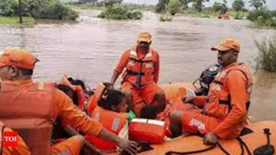 ગુજરાતમાં ભારે વરસાદ અને પૂરને કારણે જનજીવન સંપૂર્ણપણે અસ્તવ્યસ્ત થઈ ગયું છે. ત્રણ દિવસમાં મૃત્યુઆંક 35 પર પહોંચી ગયો છે