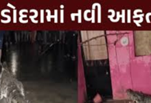 વડોદરાવાસીઓને નવી આફત, વરસાદ બાદ ઘરમાં ઘુસ્યા મહાકાય મગર, લોકોમાં ભયનો માહોલ