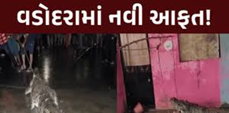 વડોદરાવાસીઓને નવી આફત, વરસાદ બાદ ઘરમાં ઘુસ્યા મહાકાય મગર, લોકોમાં ભયનો માહોલ
