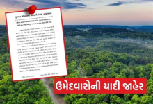 ફોરેસ્ટ ગાર્ડના ઉમેદવારો માટે મોટા સમાચાર, ઉગ્ર આંદોલન બાદ નવું કટ-ઓફ લિસ્ટ જાહેર