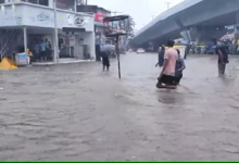 રાજ્યમાં છેલ્લા ચાર દિવસ વરસેલા સાર્વત્રિક મેઘતાંડવમાં અત્યાર સુધીમાં રાજ્યભરમાં 15 લોકોના મોત થયા છે, હવામાન વિભાગે ભારે પવન સાથે અતિ ભારે વરસાદની આગાહી કરતાં પ્રસાશને એનડીઆરફની ટીમને સ્ટેન્ડ બાય રાખી છે.