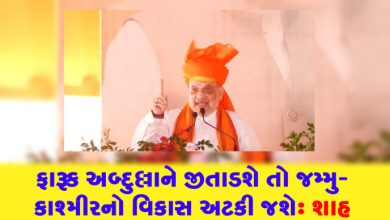 ફારૂક અબ્દુલ્લાને જીતાડશે તો જમ્મુ-કાશ્મીરનો વિકાસ અટકી જશે ,