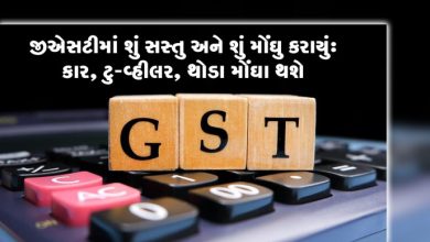 જીએસટી કાઉન્સીલની મળેલી બેઠકમાં , કાર, ટુ-વ્હીલર, થોડા મોંઘા થશે રેડી-ટુ-ઇટ ન હોય તેવા નમકીન સસ્તા થશે ,