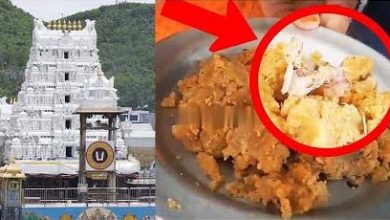 તિરૂપતિના લાડુમાં પશુની ચરબી સહિતના તત્વો હોવાના ઘટસ્ફોટથી સર્જાયેલા વિવાદ વચ્ચે હવે આ લાડુમાં તંબાકુ પણ હોવાનો દાવો એક શ્રધ્ધાળુએ કરતા વિવાદ વધ્યો છે.