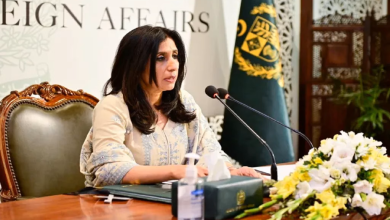 પાકિસ્તાનના વિદેશ મંત્રાલયના પ્રવક્તા મુમતાઝ ઝહરા બલૂચે કહ્યું છે કે જૂનાગઢ, કાશ્મીરની જેમ જ એક અધૂરો એજન્ડા છે.