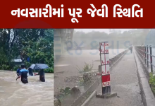 નવસારીમાં ભારે વરસાદના કારણે અને ઉપરવાસમાંથી પાણી આવતા અંબિકા નદીની જળસપાટીમાં વધારો ,
