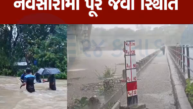 નવસારીમાં ભારે વરસાદના કારણે અને ઉપરવાસમાંથી પાણી આવતા અંબિકા નદીની જળસપાટીમાં વધારો ,
