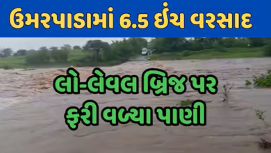 ઉમરપાડામાં આભ ફાટ્યુ, બે કલાકમાં સાડા છ ઇંચ વરસાદ ખાબકતાં જનજીવન અસ્તવ્યસ્ત ,