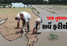 ગુજરાતમાં વરસાદે તબાઈ મચાવી જેના પગલે ,નુકસાનીનો સર્વે ફરીથી શરૂ, જમીન, વીજળી, રોડ સહિતનો કરાશે હિસાબ ,