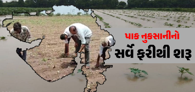 ગુજરાતમાં વરસાદે તબાઈ મચાવી જેના પગલે ,નુકસાનીનો સર્વે ફરીથી શરૂ, જમીન, વીજળી, રોડ સહિતનો કરાશે હિસાબ ,