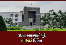 ગુજરાત હાઈકોર્ટે વાહન માલીકની અરજી ફગાવી : વાહન ચલાવતી વખતે ચોકકસ માત્રામાં પણ સેવન ચાલીના શકે ,