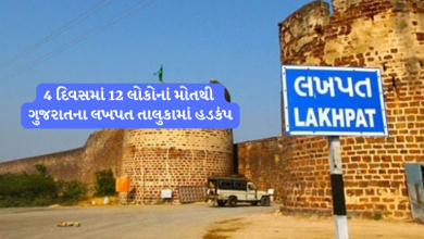 કચ્છના લખપત તાલુકાના ગામોમાં તાવના કારણે છેલ્લા 4 દિવસમાં 12 લોકોના મોત , અદાણી મેડીકલ કોલેજમાંથી ટીમો મોકલતી સરકાર: પરિવારજનોના લોહીનું પરીક્ષણ