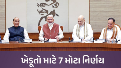 કેન્દ્રીય કેબિનેટની બેઠકમાં ખેડૂતોને લગતી 7 યોજનાઓને મંજૂરી આપવામાં આવી છે. કેન્દ્રીય મંત્રી અશ્વની વૈષ્ણવે આ જાણકારી આપી.