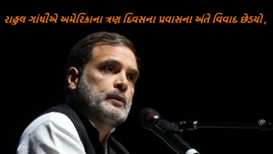 રાહુલ ગાંધીએ અમેરિકાના ત્રણ દિવસના પ્રવાસના અંતે વિવાદ છેડયો : નિષ્પક્ષ ચૂંટણી યોજાઇ હોત તો ભાજપને 246 બેઠક ન મળી હોત