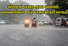 આજે હવામાન વિભાગ દ્વારા સૌરાષ્ટ્રમાં ભારે વરસાદની આગાહી કરવામાં આવી છે. જામનગર, અમરેલી સહિતના જિલ્લાઓમાં મેઘરાજા મચાવશે તાંડવ