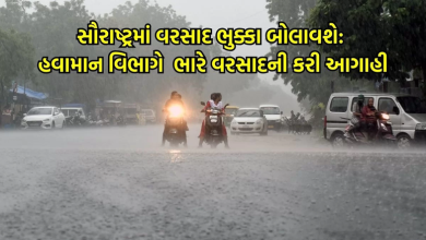 આજે હવામાન વિભાગ દ્વારા સૌરાષ્ટ્રમાં ભારે વરસાદની આગાહી કરવામાં આવી છે. જામનગર, અમરેલી સહિતના જિલ્લાઓમાં મેઘરાજા મચાવશે તાંડવ