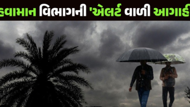 ગુજરાતમાં આગામી 7 દિવસ ધમધોકાર વરસાદ વરસી શકે છે , 3 વરસાદી આફતનો ખતરો ,