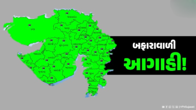 હવામાન વિભાગે તારીખ 16થી લઈ 18 સપ્ટેમ્બર સુધી છૂટછવાયા સ્થળો પર ગાજવીજ સાથે મધ્યમ વરસાદની શક્યતા છે ,