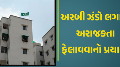 વડોદરામાં શાંતિ ડહોળવાનો પ્રયાસ, ગણેશ ઉત્સવ દરમિયાન અરબી ઝંડો લગાવ્યો,