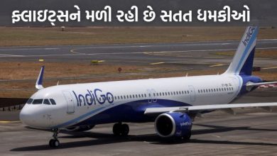 છેલ્લા કેટલાય દિવસોથી વિમાનને બોમ્બથી ઉડાવી દેવાની ધમકીનો સિલસિલો વધી રહ્યો છે : એક જ દિ’માં 12 વિમાનોને ઉડાવી દેવાની ધમકી