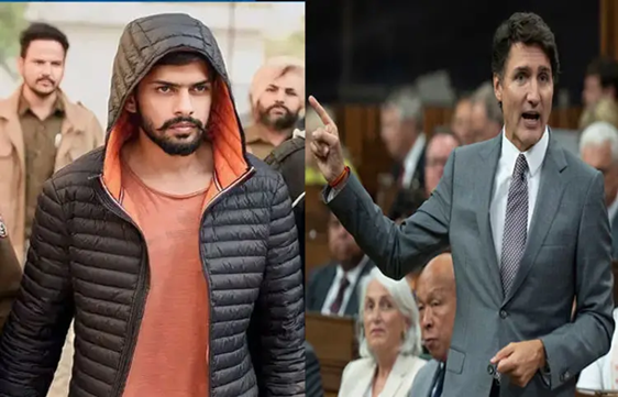 લૉરેન્સ બિશ્નોઈ ગેંગ સાથે કામ કરે છે ભારતના એજન્ટ: ભારત પર કેનેડાના આરોપથી ખળભળાટ ,