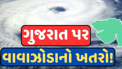 બંગાળની ખાડીમાં લો પ્રેશર એરિયા આકાર પામ્યો છે. જેના કારણે હાલ કેટલાક રાજ્યોમાં ભારે વરસાદ શરૂ થઇ ગયો છે.