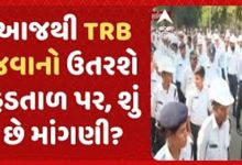 રાજ્યભરમાં ટ્રાફિક વિભાગનું કામ કરતા TRB જવાનો આજથી હડતાળ પર ઉતર્યા છે.પગાર વધારાની માગ સાથે જવાનોએ વિરોધ નોંધાવ્યો