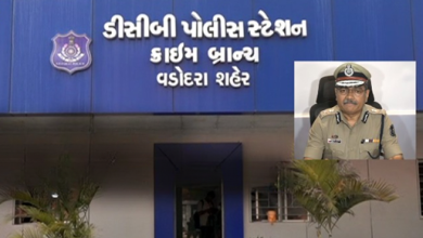 વડોદરા રેપ કેસને લઇ સફળતા મળી છે. ઘટનામાં સંડોવાયેલ ત્રણ આરોપીઓને કસ્ટડીમાં લેવામાં આવ્યા ,
