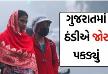 ગુજરાતમાં ઠંડીનું પ્રમાણ વધી રહ્યું છે , હવામાન વિભાગે પાંચ દિવસ દરમિયાન તાપમાનમાં કોઈ મોટા ફેરફારોની શક્યતાઓ ન હોવાનું જણાવ્યું