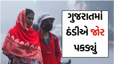 ગુજરાતમાં ઠંડીનું પ્રમાણ વધી રહ્યું છે , હવામાન વિભાગે પાંચ દિવસ દરમિયાન તાપમાનમાં કોઈ મોટા ફેરફારોની શક્યતાઓ ન હોવાનું જણાવ્યું