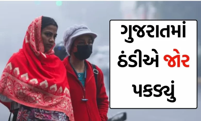 ગુજરાતમાં ઠંડીનું પ્રમાણ વધી રહ્યું છે , હવામાન વિભાગે પાંચ દિવસ દરમિયાન તાપમાનમાં કોઈ મોટા ફેરફારોની શક્યતાઓ ન હોવાનું જણાવ્યું