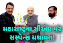 મહારાષ્ટ્ર વિધાનસભાની ચૂંટણીમાં મહાયુતિની મહાજીત બાદ હવે મૂખ્યમંત્રી પદને લઈ રાજકારણ ગરમાયું ,