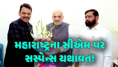 મહારાષ્ટ્ર વિધાનસભાની ચૂંટણીમાં મહાયુતિની મહાજીત બાદ હવે મૂખ્યમંત્રી પદને લઈ રાજકારણ ગરમાયું ,