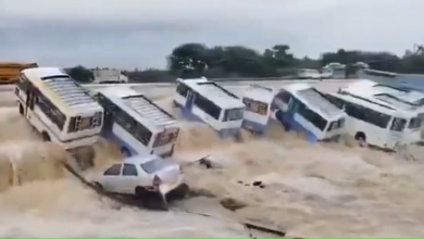 ફેંગલ વાવાઝોડાએ તબાહી મચાવી બસો અને ઘણા વાહનો પાણીમાં ડૂબતા અને તરતા જોવા મળ્યા ,