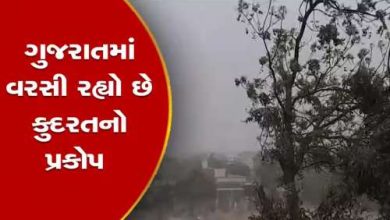 શિયાળે ચોમાસા જેવો માહોલ સર્જાયો, અંતરિયાળ ગામોમાં કમોસમી વરસાદ પડ્યો, કમોસમી વરસાદના આગમનને લઈ જિલ્લાના ખેડૂતો ચિંતામાં ,