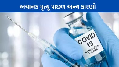 કૉવિડ-19 રસીકરણને કારણે ભારતમાં મૃત્યુનું જોખમ વધ્યું નથી , ICMR એ એક અભ્યાસ બાદ કહ્યું છે ,