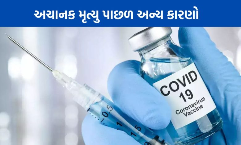 કૉવિડ-19 રસીકરણને કારણે ભારતમાં મૃત્યુનું જોખમ વધ્યું નથી , ICMR એ એક અભ્યાસ બાદ કહ્યું છે ,
