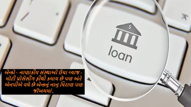 બેન્કો - નાણાકીય સંસ્થાઓ ઉંચા વ્યાજ - મોટી પ્રોસેસીંગ ફીથી કમાય છે પણ અંતે એનપીએ વધે છે બેન્કનું નાનુ ધિરાણ પણ જોખમમાં