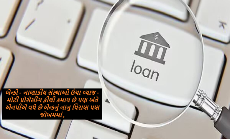બેન્કો - નાણાકીય સંસ્થાઓ ઉંચા વ્યાજ - મોટી પ્રોસેસીંગ ફીથી કમાય છે પણ અંતે એનપીએ વધે છે બેન્કનું નાનુ ધિરાણ પણ જોખમમાં