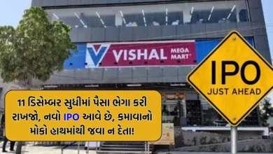 શેરબજારમાં પૈસા ઈનવેસ્ટ કરતા લોકો માટે શાનદાર મોકો , વધુ એક કંપની આઈપીઓ લોન્ચ કરવા જઈ રહ્યો છે જેનું કદ 8000 કરોડ રૂપિયા છે ,