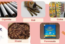 GST માં હવે કરચોરી સામે ટ્રેક - ટ્રેસ સિસ્ટમ : સિગારેટ - પાનમસાલાથી પ્રારંભ